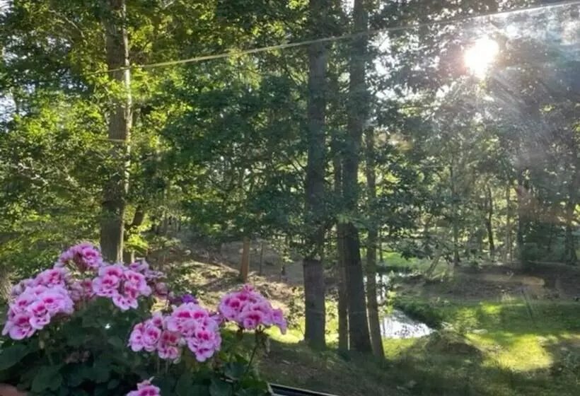 Luxury Cabin In The Woods