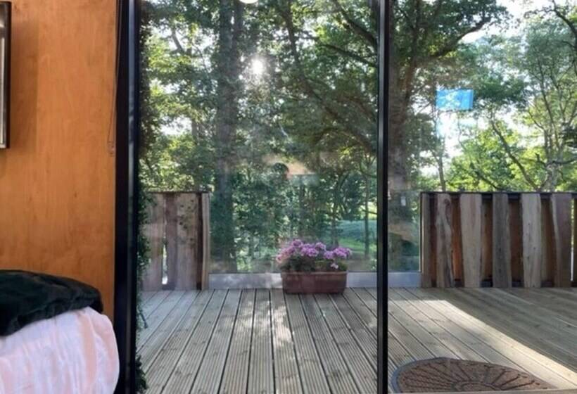 Luxury Cabin In The Woods