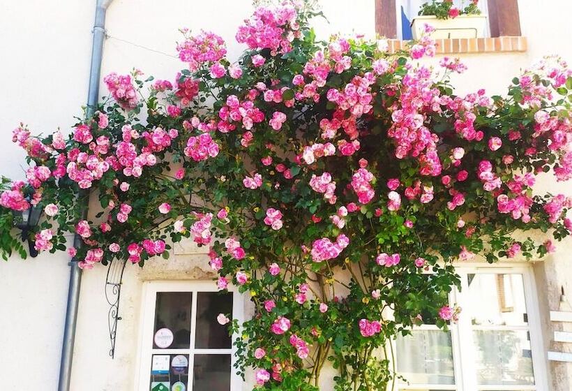 פנסיון Les Salamandres Maison D Hôtes