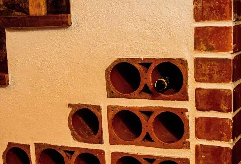 Residenssi Casas Do Favacal   A Traditional Xisto House