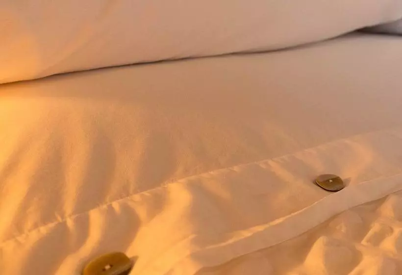 Residenssi Casas Do Favacal   A Traditional Xisto House