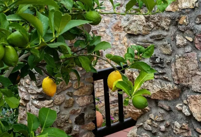 Residenssi Casas Do Favacal   A Traditional Xisto House