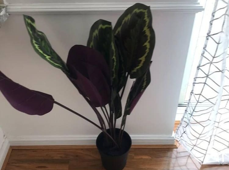 Residentie Stunning 5 Bed House In Erith, Greater London