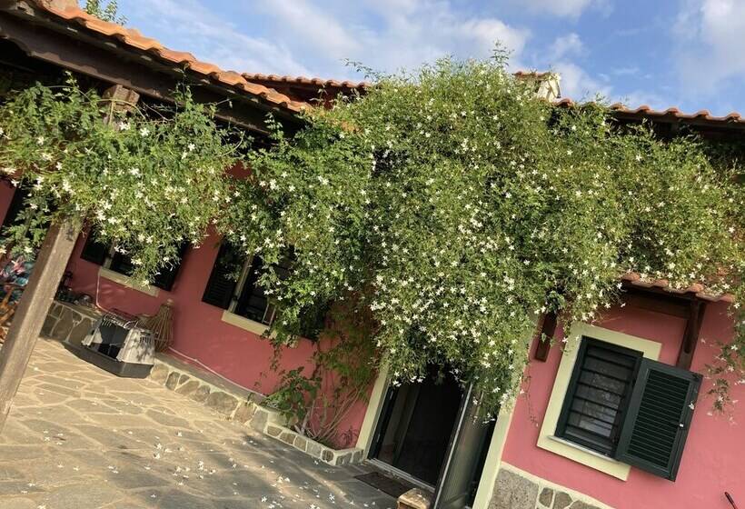 Residència Summer House Surrounded By Olive Trees Halkidiki