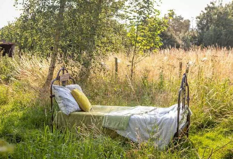 Orion 4 Person Stunning Lotus Belle Tent