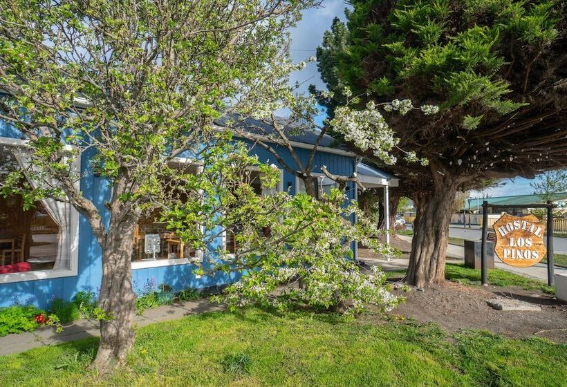Hostel Hostal Los Pinos