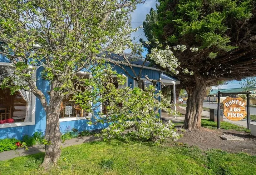 هاستل Hostal Los Pinos