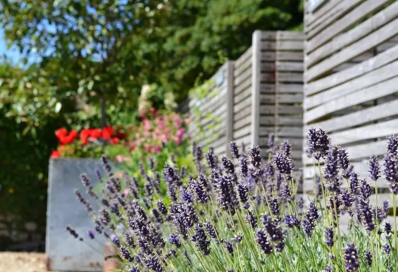 Aamiaismajoitus (B&B) Kings Arms Duplex