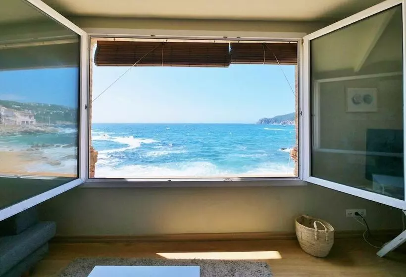 Casa Concha Apartamentos