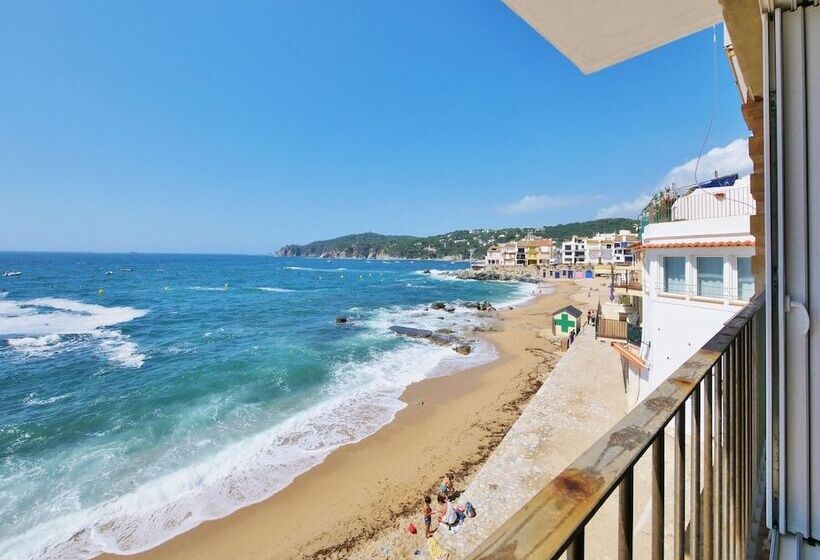 Casa Concha Apartamentos