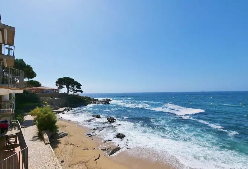 Casa Concha Apartamentos