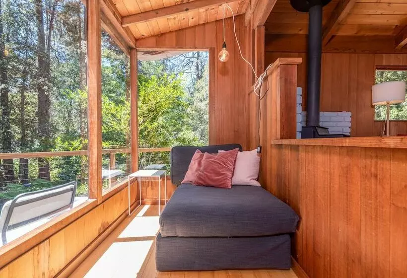 Forest Sea Cabin