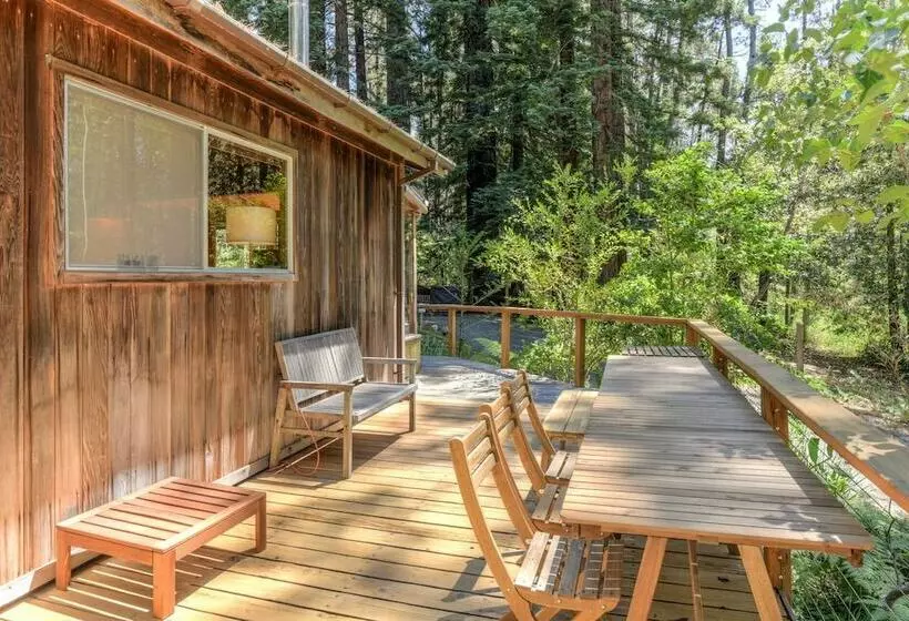 Forest Sea Cabin