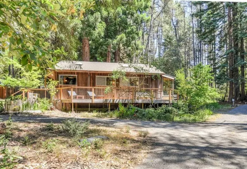 Forest Sea Cabin
