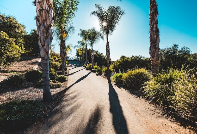 Grapevine By Avantstay Secluded 5br Villa 4 Acres Of Vineyards & Avo Groves!