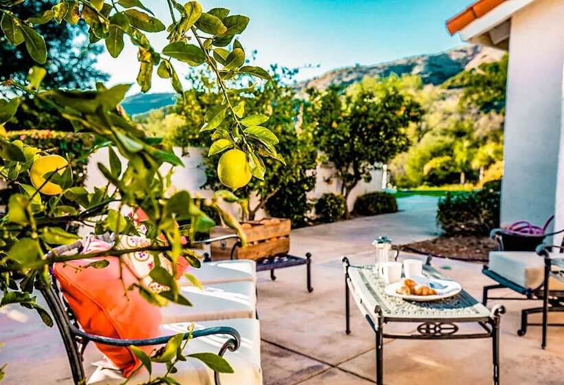 Grapevine By Avantstay Secluded 5br Villa 4 Acres Of Vineyards & Avo Groves!