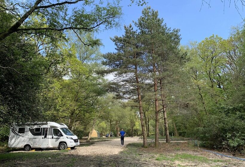 Отель Nuthatch Cabin At Cloudshill Glade   Campsite