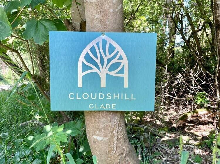 Отель Nuthatch Cabin At Cloudshill Glade   Campsite