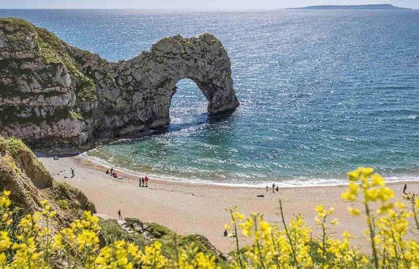 Отель Nuthatch Cabin At Cloudshill Glade   Campsite