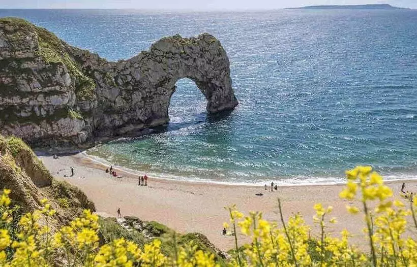 ホテル Nuthatch Cabin At Cloudshill Glade   Campsite