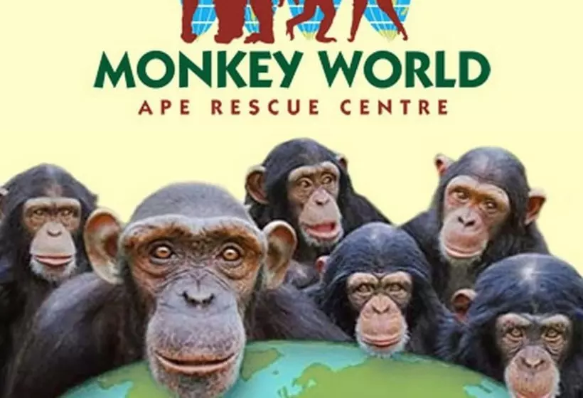 ホテル Nuthatch Cabin At Cloudshill Glade   Campsite