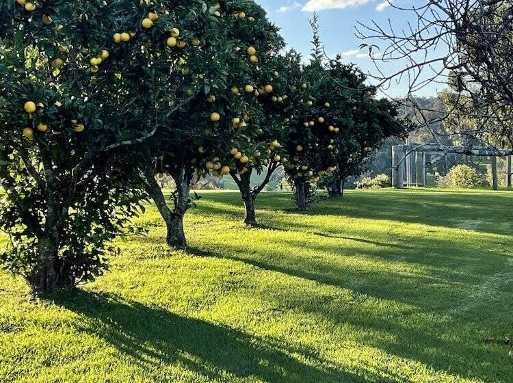 Black Bream Point Cabins