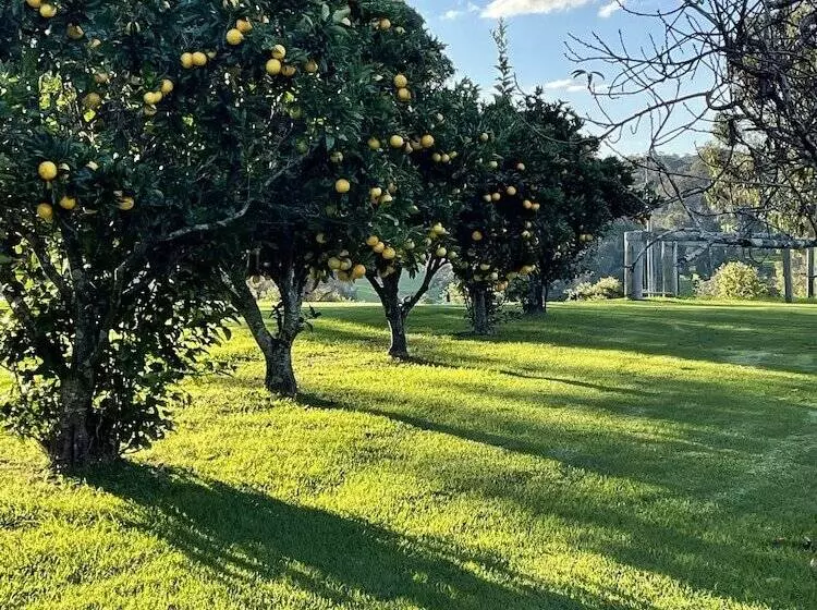 Black Bream Point Cabins