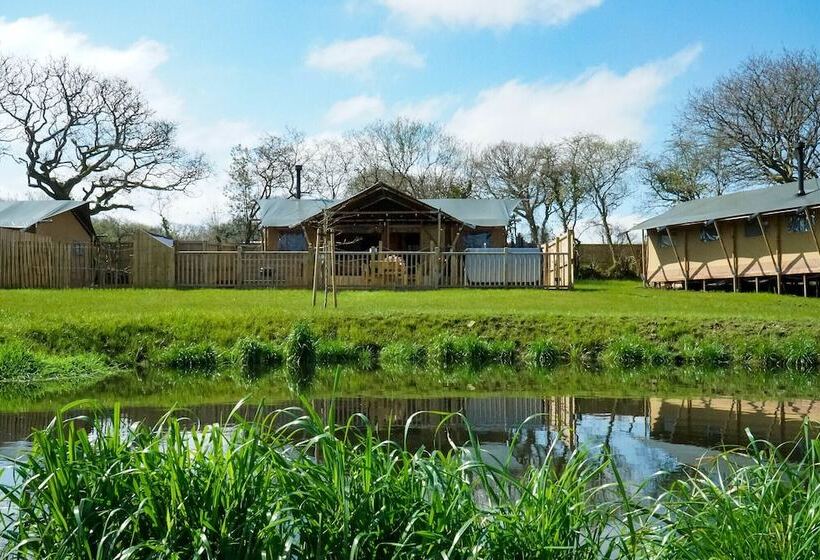 Отель Jungle Book Safari Tent