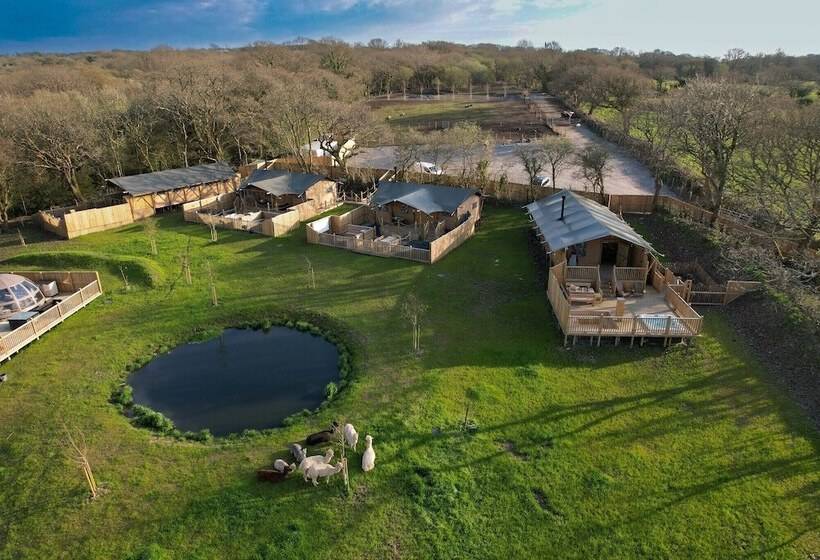 Отель Jungle Book Safari Tent