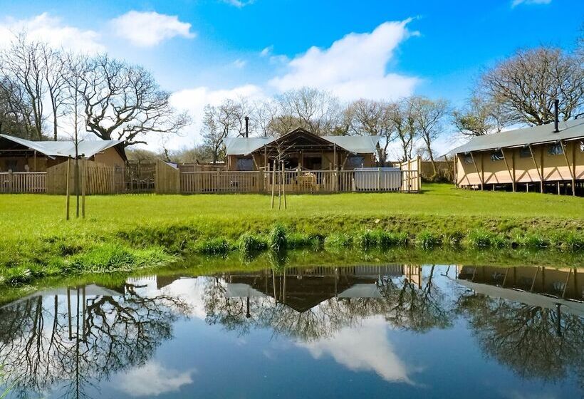 Отель Jungle Book Safari Tent