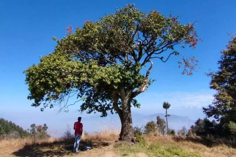 Hotelli Kanatal S Valley View Inn