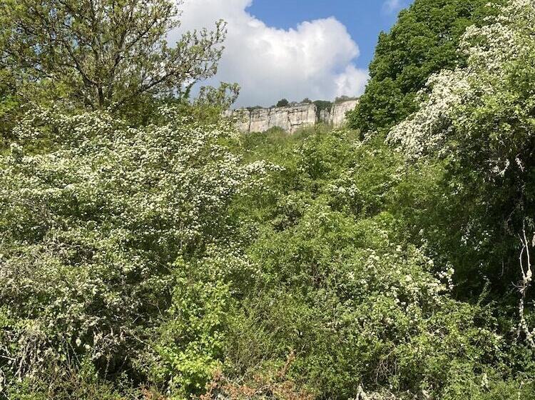 بنسيون Clos De Belle Roche