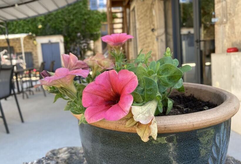 بنسيون Clos De Belle Roche