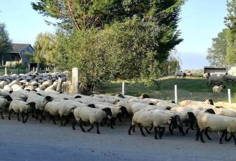 Majatalo Gîtes Les 2 Clos Au Pied Du Mont