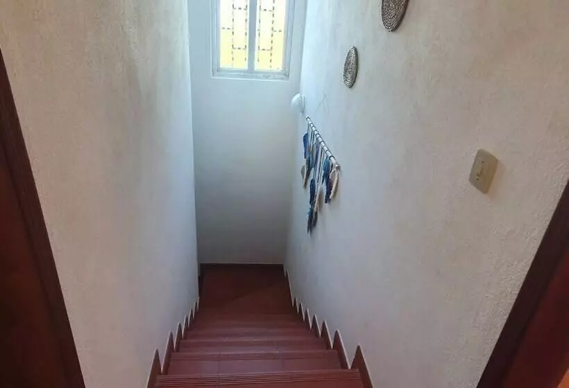 Quinta Monte Argil