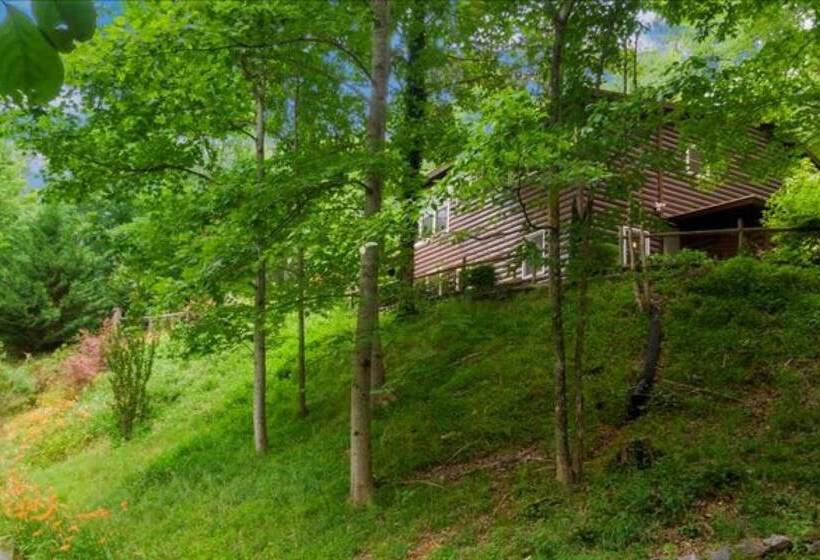 Underlook Cabin Secluded Cabin With Wifi Large Deck Gas Grill Wood Fireplace