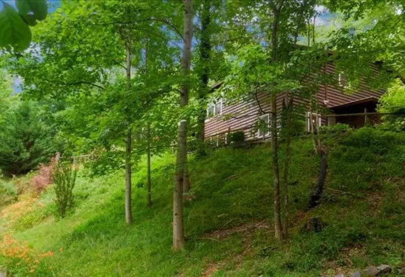 Underlook Cabin Secluded Cabin With Wifi Large Deck Gas Grill Wood Fireplace