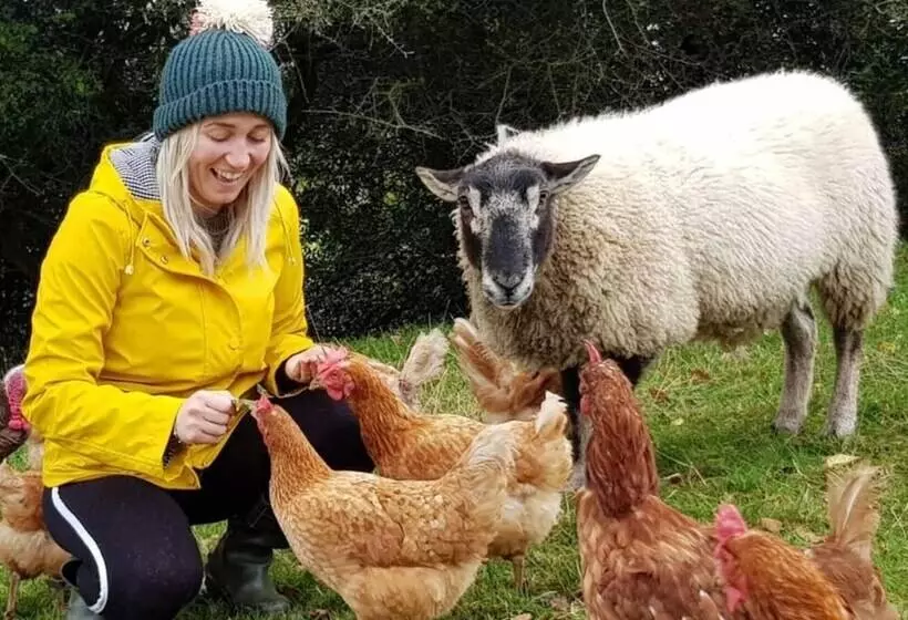 Idlewild Animal Sanctuary Farmhouse Stay   Charity