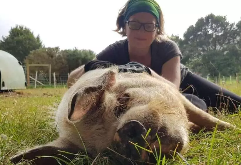 Idlewild Animal Sanctuary Farmhouse Stay   Charity