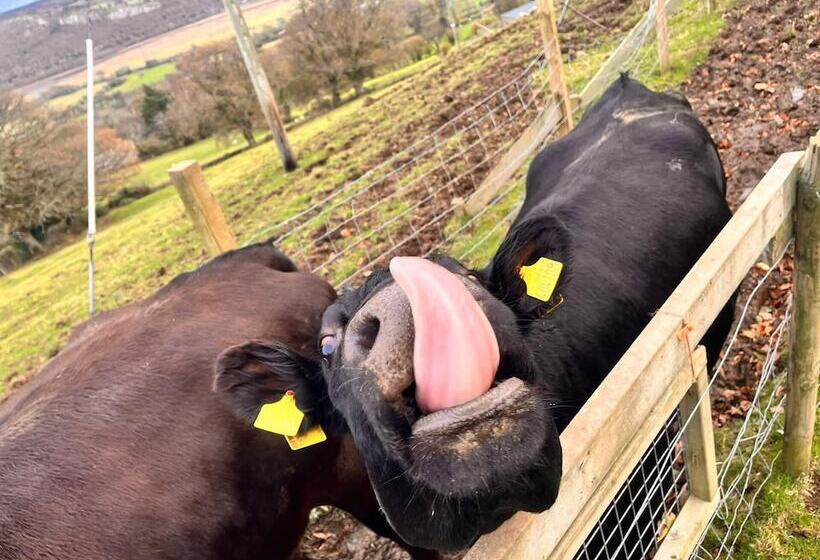 Idlewild Animal Sanctuary Farmhouse Stay Charity