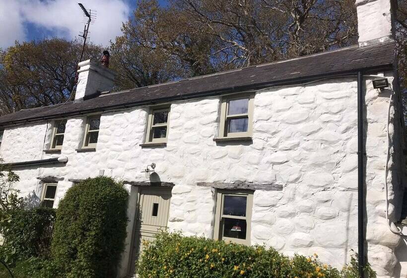 Idlewild Animal Sanctuary Farmhouse Stay Charity