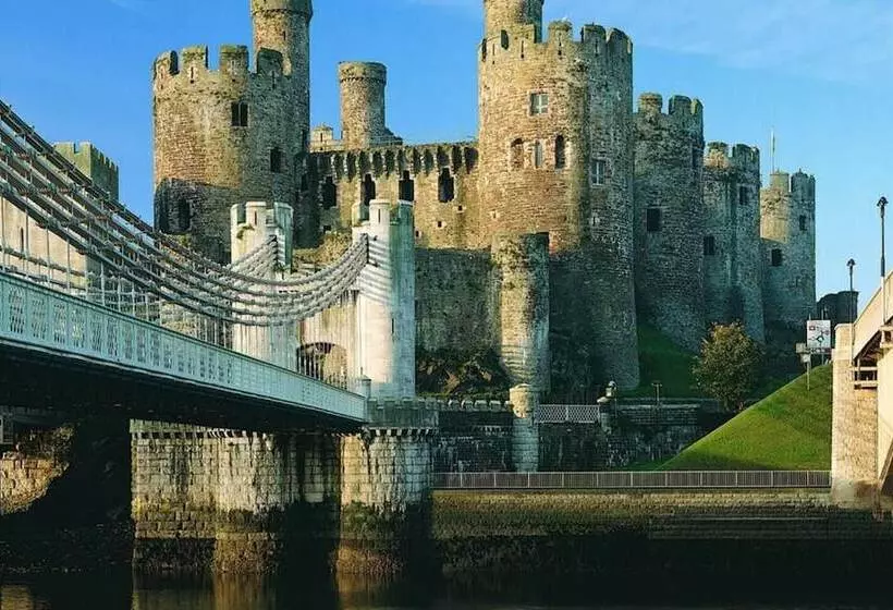 Idlewild Animal Sanctuary Farmhouse Stay   Charity