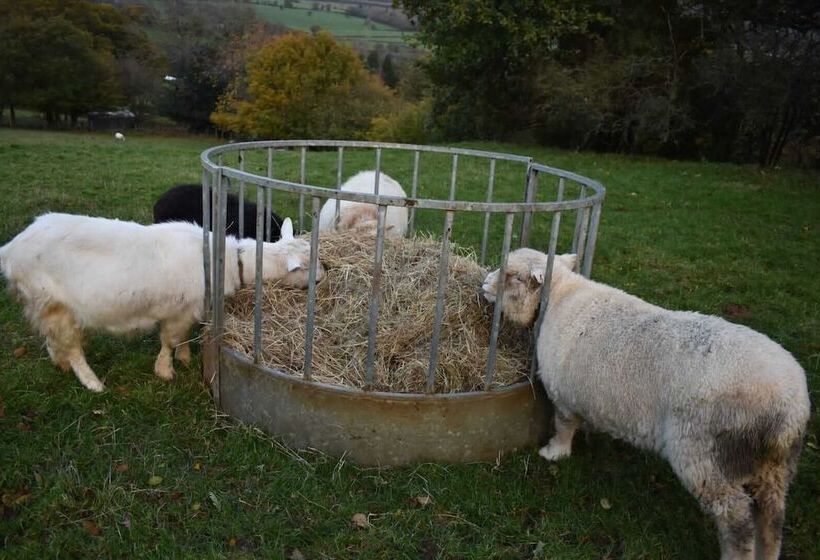 Idlewild Animal Sanctuary Farmhouse Stay Charity