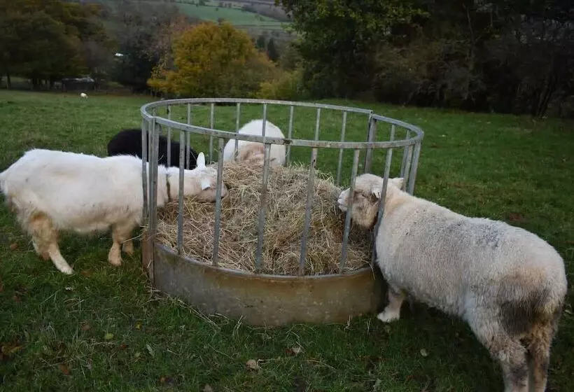 Idlewild Animal Sanctuary Farmhouse Stay   Charity