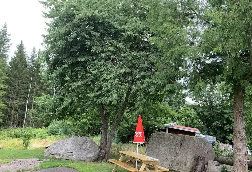 Blackstad Vandrarhem Hostal B&b