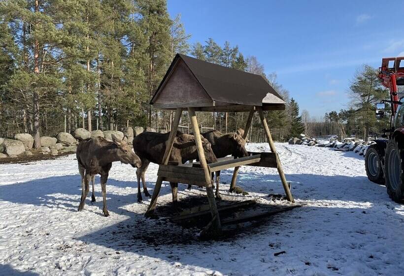 Blackstad Vandrarhem Hostal B&b