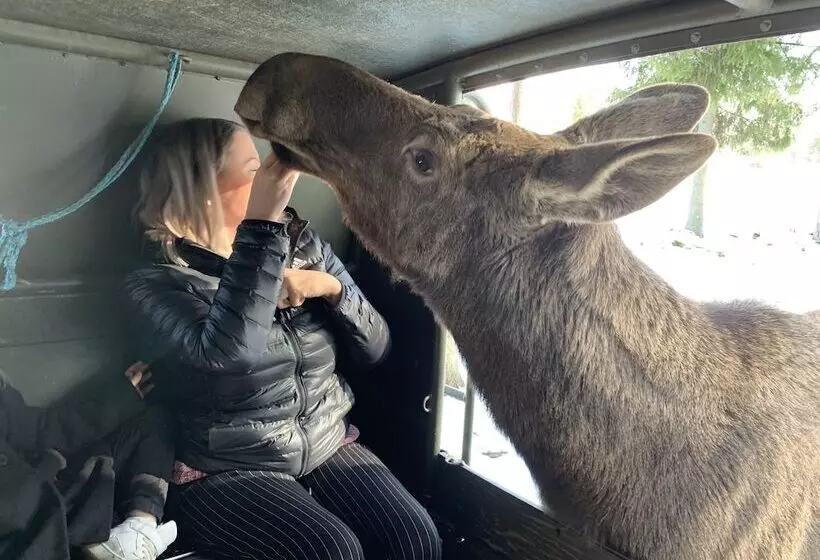 Blackstad Vandrarhem Hostal B&b