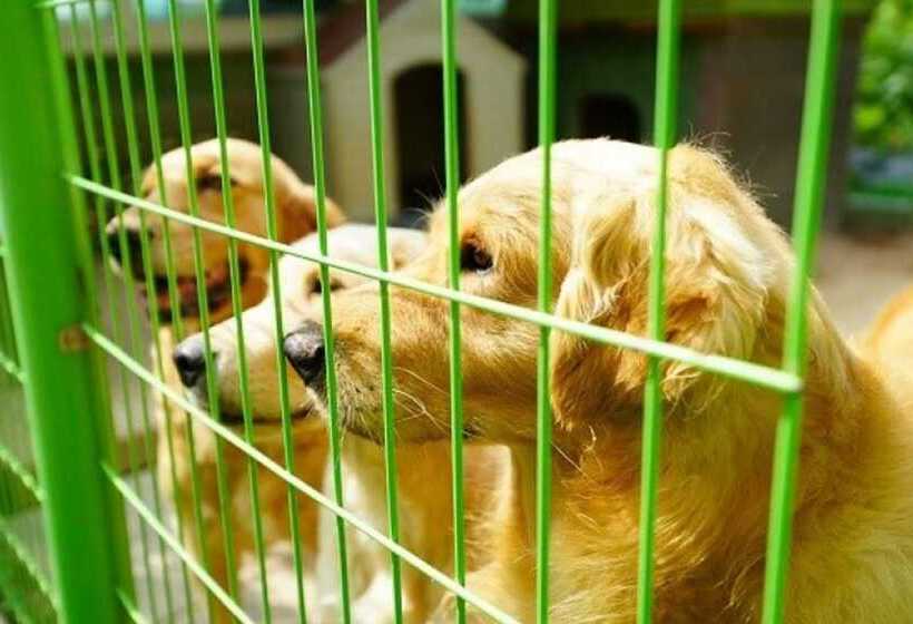 Pension On The Sea Shore In The Bosom Department Byeonsanbando