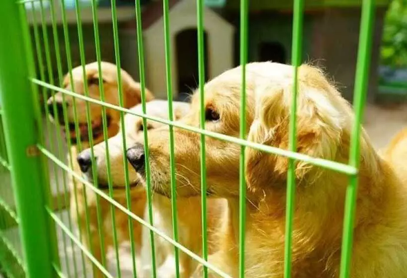 Pension On The Sea Shore In The Bosom Department Byeonsanbando