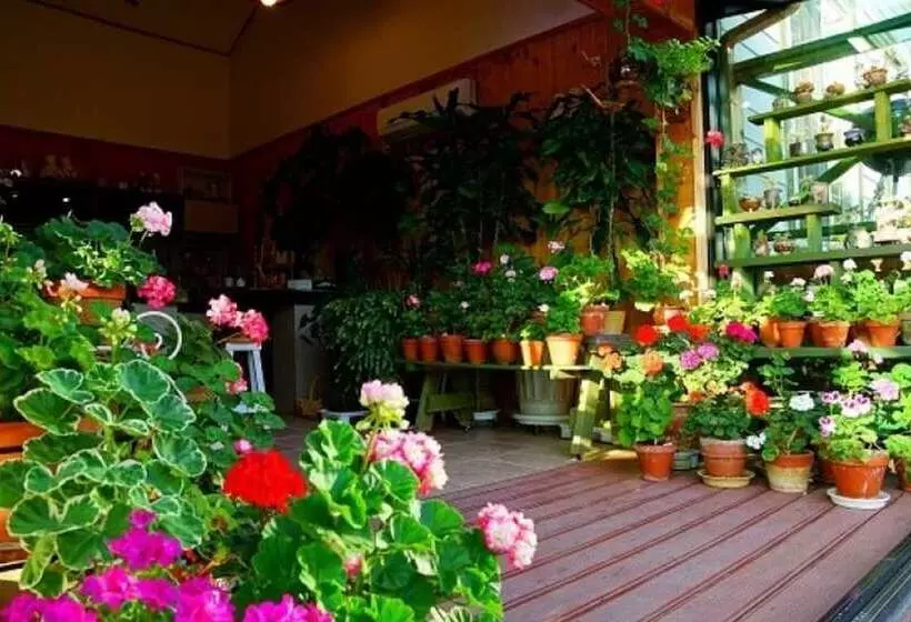 Pension On The Sea Shore In The Bosom Department Byeonsanbando